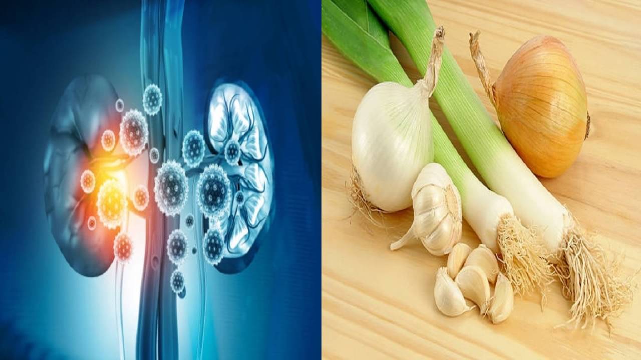 Kidney Disease: কিডনির সমস্যায় ভুগছেন? রোজ পাতে এই খাবারগুলো রাখছেন তো...