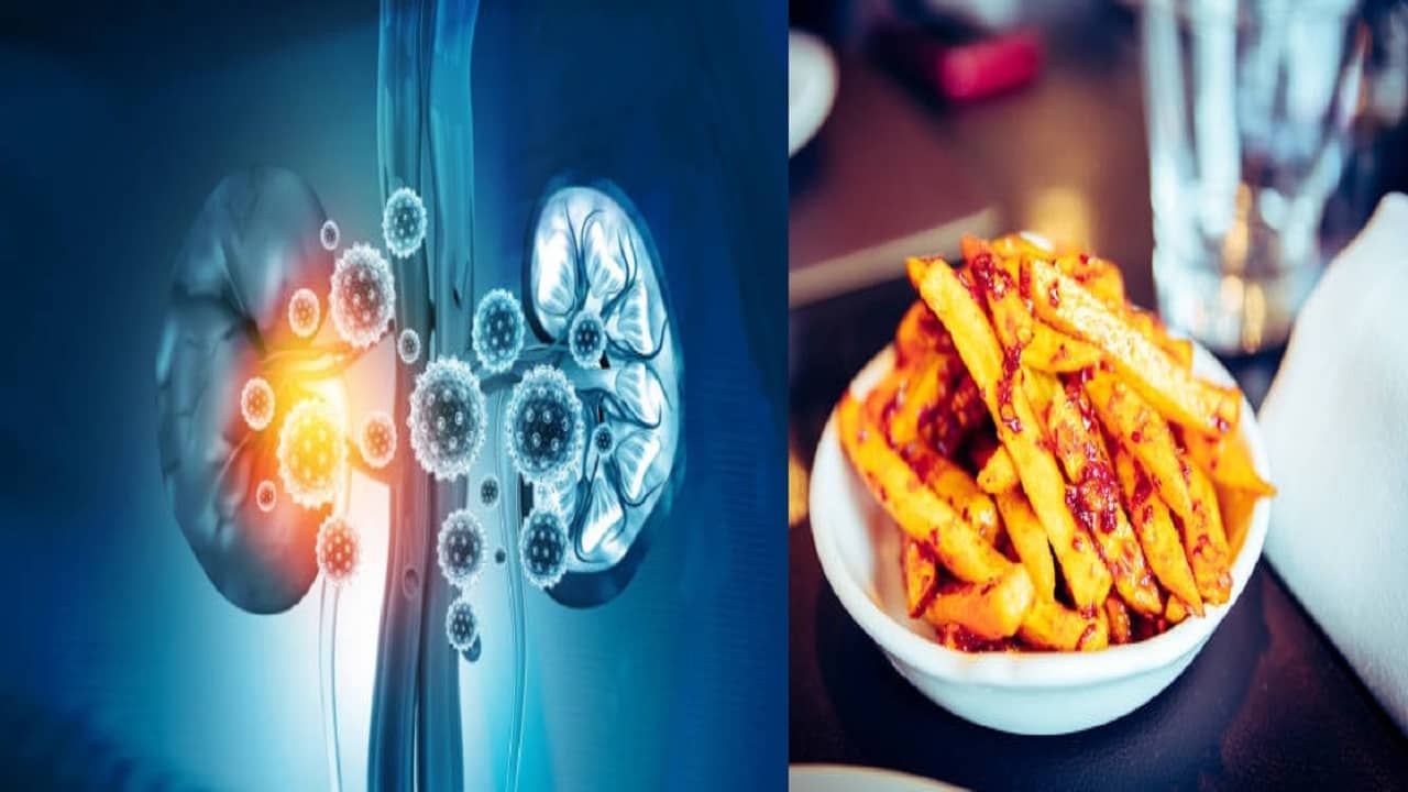 Kidney Health Tips: এই ৫ খাবারের জন্যই নষ্ট হতে বসেছে আপনার কিডনি! এখন থেকে বাদ দিন...