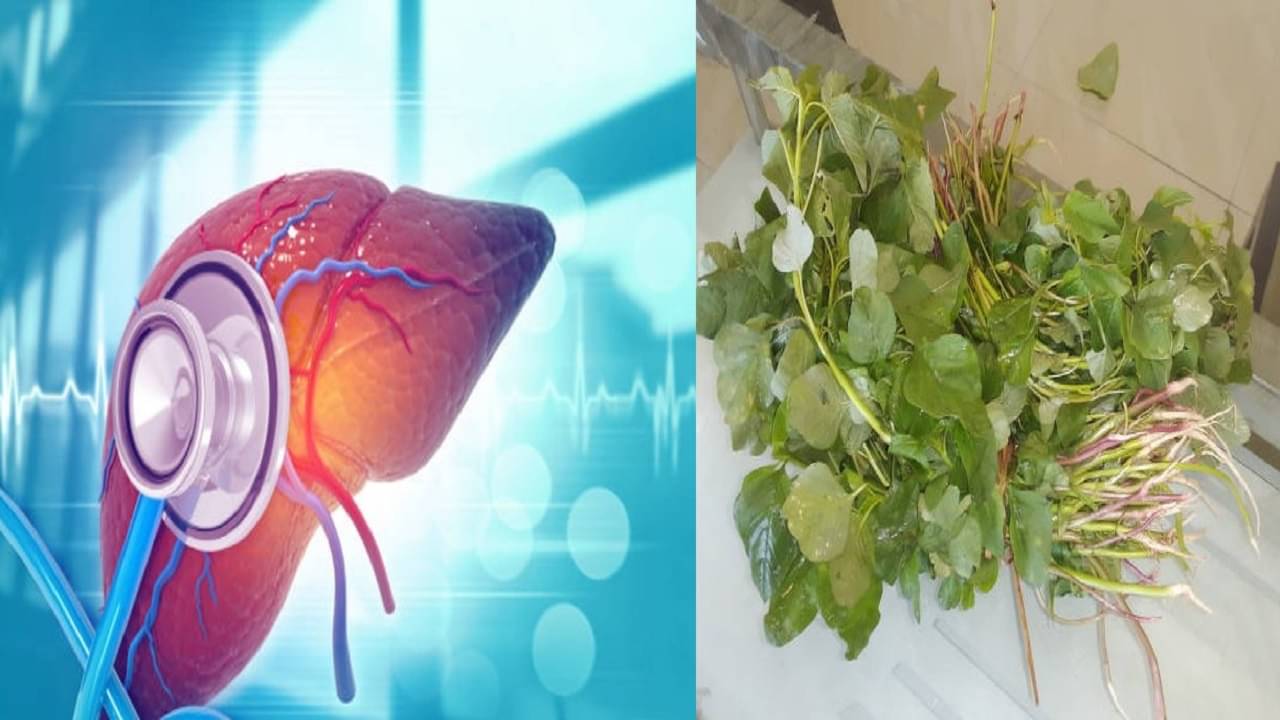 World Hepatitis Day: লিভার সুস্থ রাখতে এবং হেপাটাইটিসের সম্ভাবনা এড়াতে যা খাওয়া জরুরি...