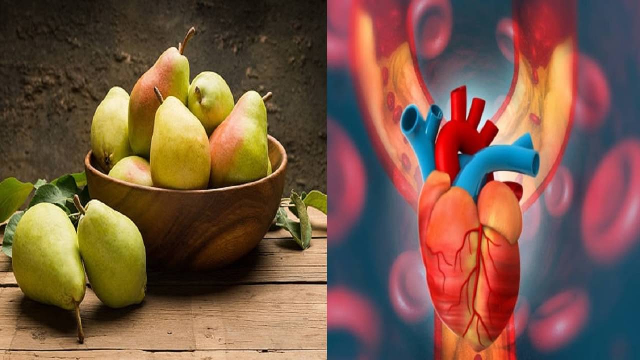 Pear For Health: কোলেস্টেরল থেকে ডায়াবেটিস, বর্ষার এই প্রাইম ফলের এক কামড়েই জব্দ