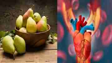 Pear For Health: কোলেস্টেরল থেকে ডায়াবেটিস, বর্ষার এই প্রাইম ফলের এক কামড়েই জব্দ