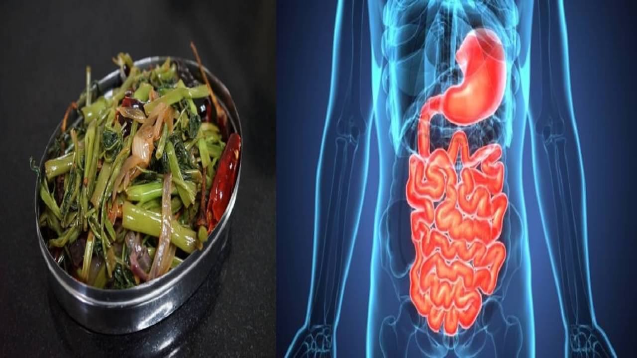 Water Spinach: বর্ষায় শাক খেতে নিষেধ করেন অনেকে, তবুও এক চামচ কলমি কেন রাখবেন জানুন...