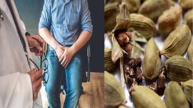 Elaichi For Men: বিবাহিত পুরুষদের যৌনক্ষমতা থাকবে তুঙ্গে, ভরসা রাখুন এই মশলাতে Elaichi For Men: বিবাহিত পুরুষদের যৌনক্ষমতা থাকবে তুঙ্গে, ভরসা রাখুন এই মশলাতে
