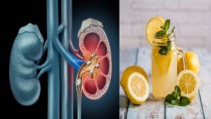 Kidney Stones: কিডনিতে স্টোন? সার্জারি  না করিয়েও সেরে উঠতে পারেন যে ৫ প্রাকৃতিক নিয়মে