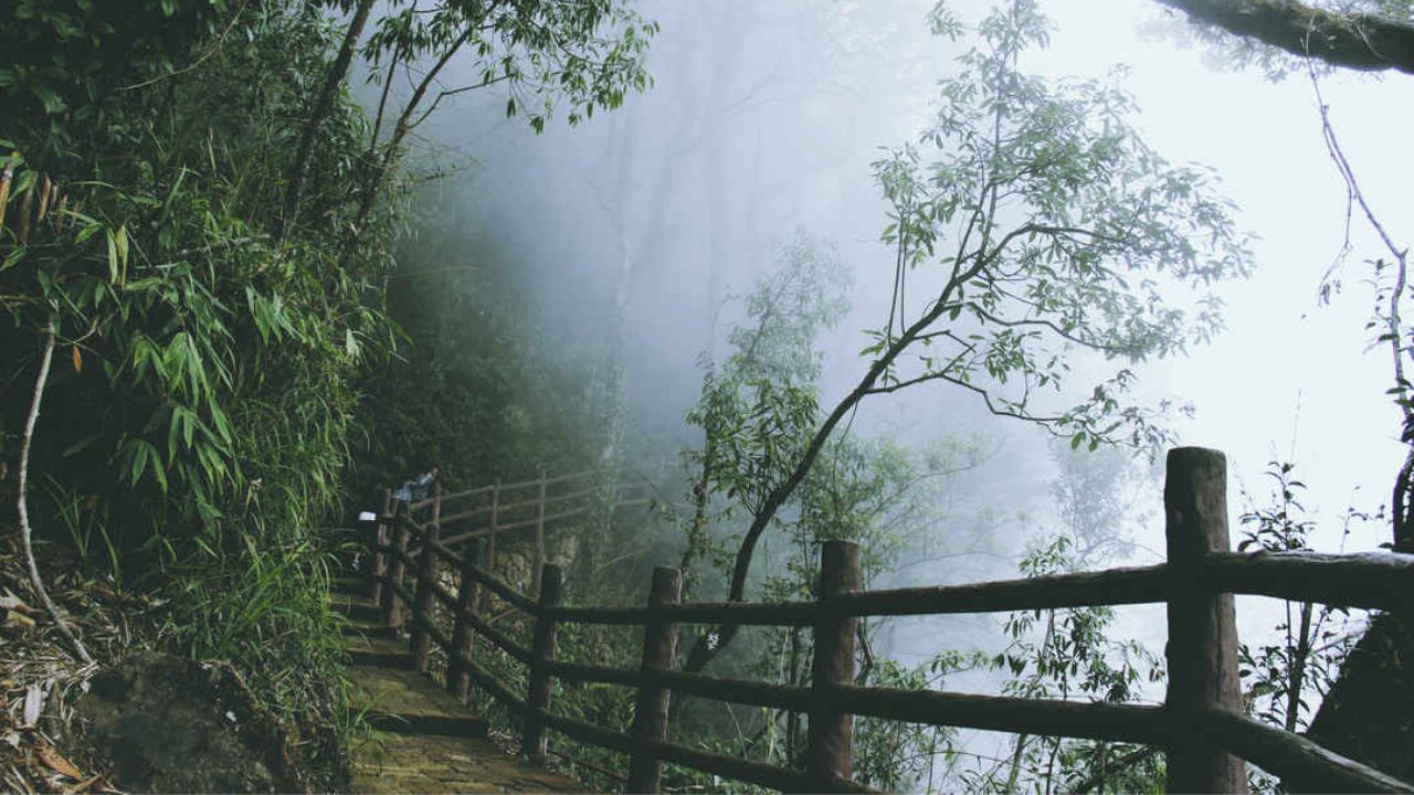 Monsoon Destinations: বিপর্যয় হিমালয়ে, বর্ষারানির সৌন্দর্য উপভোগ করুন দেশের এই ৫ পাহাড়ি অঞ্চল থেকে