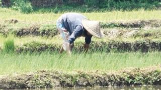 Rajarhat: রাজারহাটে নগ্ন দেহ উদ্ধার, ২৪ ঘণ্টার মধ্যে ফাঁস হল রহস্য, সবই ধরা পড়েছে সিসিটিভিতে