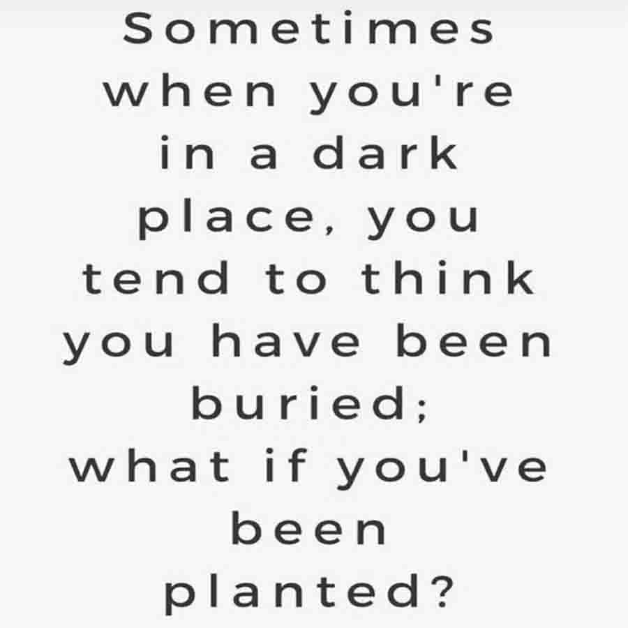 ললিত মোদীর টুইটের পর নিজের কোনও পর্যন্ত নিজের কোনও প্রতিক্রিয়া জানাননি সুস্মিতা। তবে একদিন আগে তিনি ইনস্টাগ্রাম পোস্টে ব্যক্ত করেছিলেন মনের কথা। পোস্টে লেখা ছিল, "অন্ধকার জায়গায় থাকলে মনে হতে শুরু করে কবর দেওয়া হয়েছে। কিন্তু যদি প্লান্ট করা হয়।" তখনই সুস্মিতা নতুন কিছু শুরুর ইঙ্গিত দিয়েছিলেন হয়তো। 