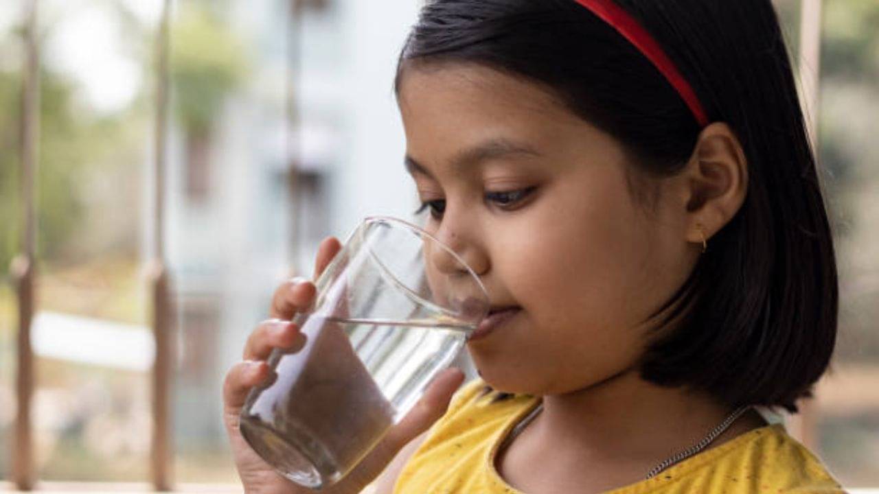 Drinking Water: খাওয়ার মাঝে জল পানের অভ্যাস? কতটা সঠিক জানুন...
