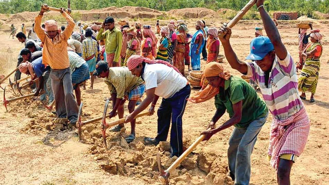 MGNREG Scheme: ১০০ দিনের কাজের টাকায় বাংলা কি সত্যিই বঞ্চিত? কেন্দ্রের রিপোর্টে উঠে এল যে তথ্য...