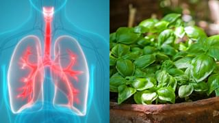 World Lung Cancer Day:  বছরভর এইসব খাবার খেলে হবে না অ্যাজমা, ফুসফুস থাকবে পরিষ্কার