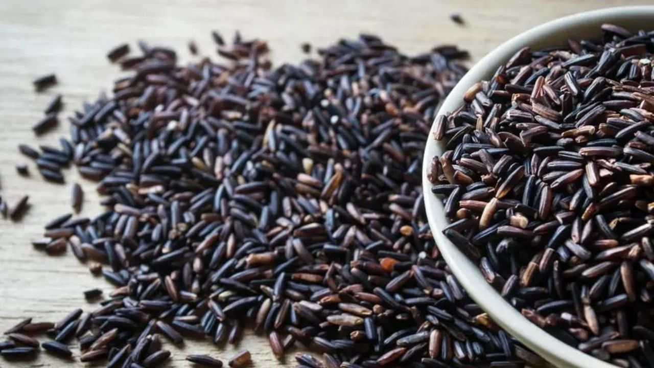 Black Rice Benefits: সাদা চালের বদলে এই চাল খেলে হু হু করে কমবে রক্তে সুগার ও কোলেস্টেরল!