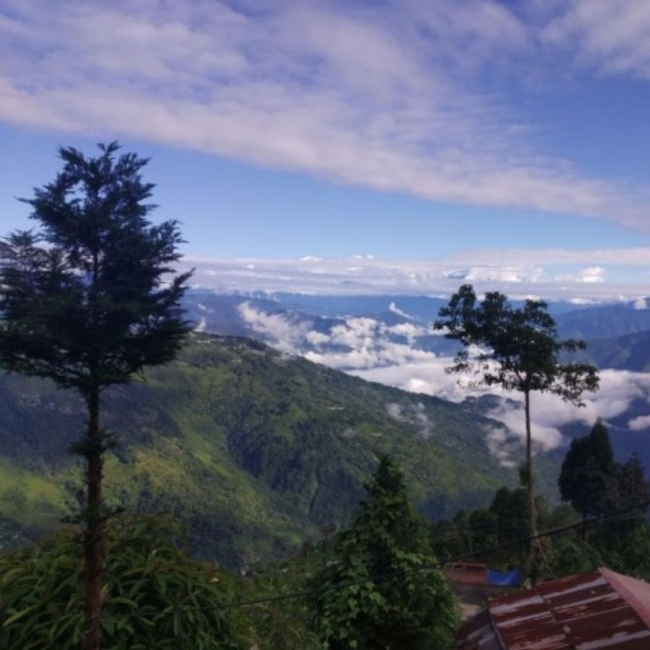 গরম কফির কাপে চুমুক দিতে দিতে হোমস্টে-এর জানলায় দাঁড়ালেই ধরা দেবে তুষারাবৃত কাঞ্চনজঙ্ঘা। গ্রামের যে অংশেই যাবে গোটা অংশ জুড়ে শুধুই কাঞ্চনজঙ্ঘার দৃশ্য। ভাবছেন এমন গ্রাম কোথায় রয়েছে? ঠিকানা হল দাওয়াইপানি। 