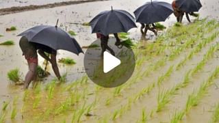 Anubrata Mondal at SSKM: অনুব্রত উডবার্ন থেকে বেরতেই শোনা গেল, ‘গরু চোর, গরু চোর’