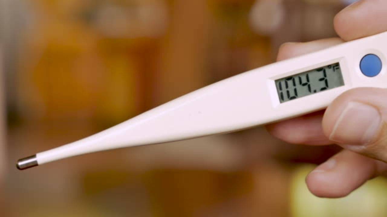 Non-Covid Infections: ১০৩ ডিগ্রির কমে নামছে না জ্বর! নিউ নরম্যালে অদ্ভূত জ্বরে কাবু কলকাতা