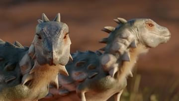 Smallest Dinosaur: বিড়ালের আকারের ডাইনোসরের কঙ্কাল উদ্ধার, পিঠে ধারালো বর্ম, আর্জেন্টিনায় চাঞ্চল্য