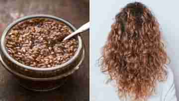 Flax Seeds for Hair: আপনার কোঁকড়ানো চুলে ভলিউমের অভাব? ফ্ল্যাক্স সিডের জেল ব্যবহার করে দেখুন তো!