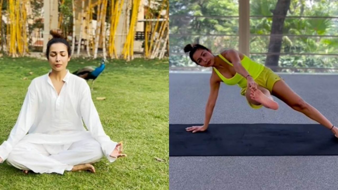Malaika Arora's Yoga Tips: আবেদনময় শরীরের রহস্য কী? বিশেষ টিপস-সহ অকপট চিরযৌবনা মালাইকা