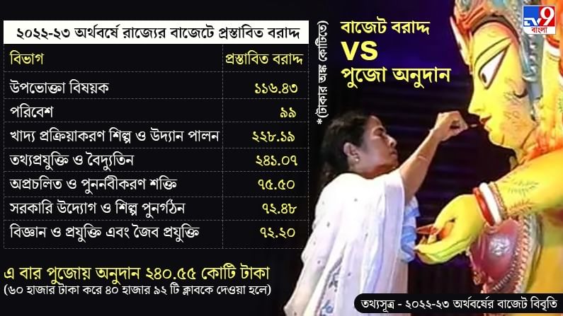 Mamata Durga Puja