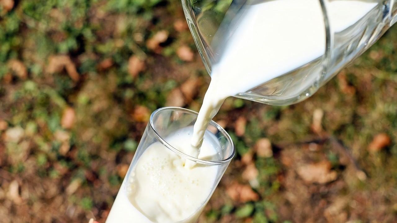 Milk Price Hike : স্বাধীনতা দিবসের পরই বাড়ল দুধের দাম, কত করে বাড়াল আমূল-মাদার ডেয়ারি?