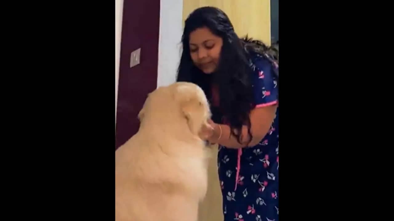 Moms Kitchen Companion: এমন বন্ধু আর কে আছে! মাকে সঙ্গ দিতে রান্নাঘরের বাইরে ঠায় দাঁড়িয়ে আদরের ওরিও