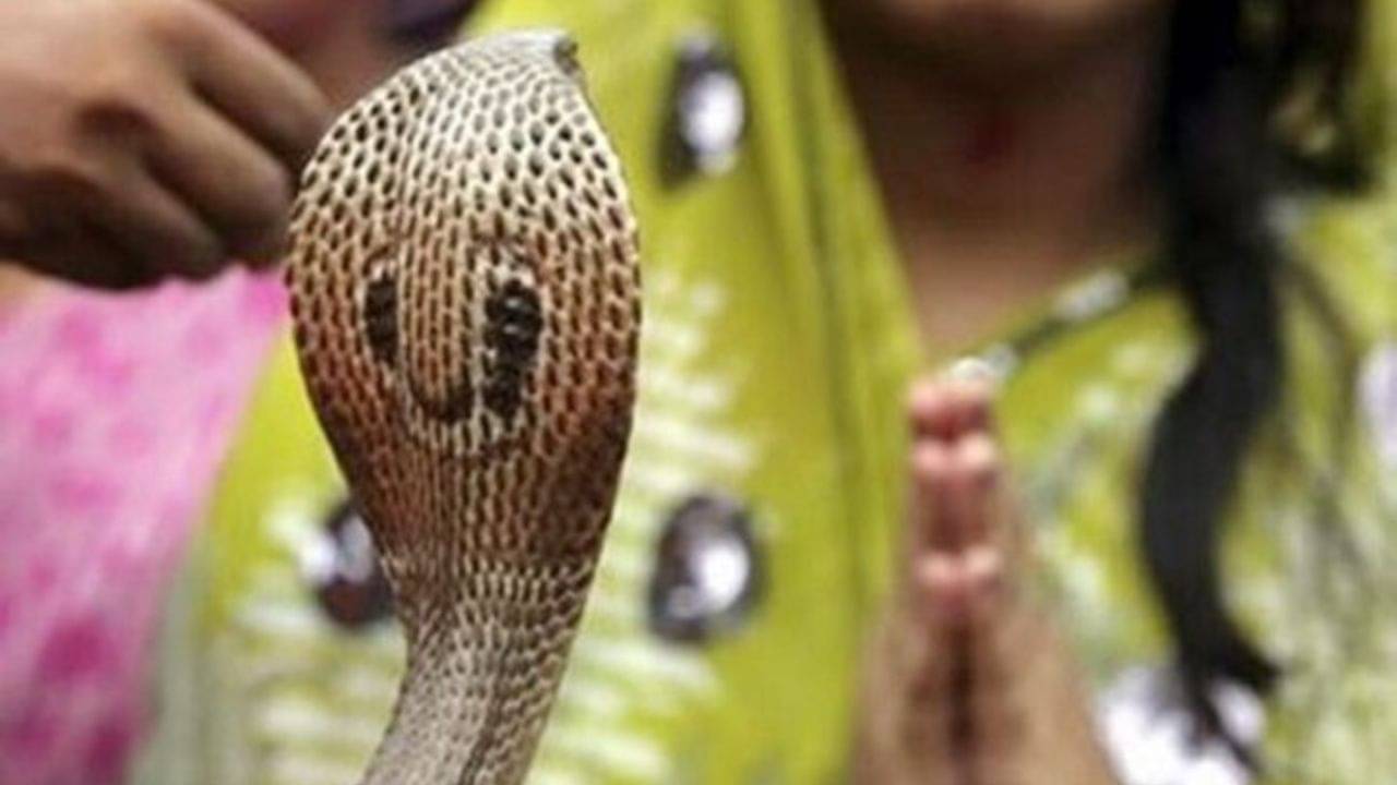 Nag Panchami 2022: আজ পালিত হচ্ছে নাগপঞ্চমী; জানুন এই বিশেষ দিনের পৌরাণিক কাহিনি