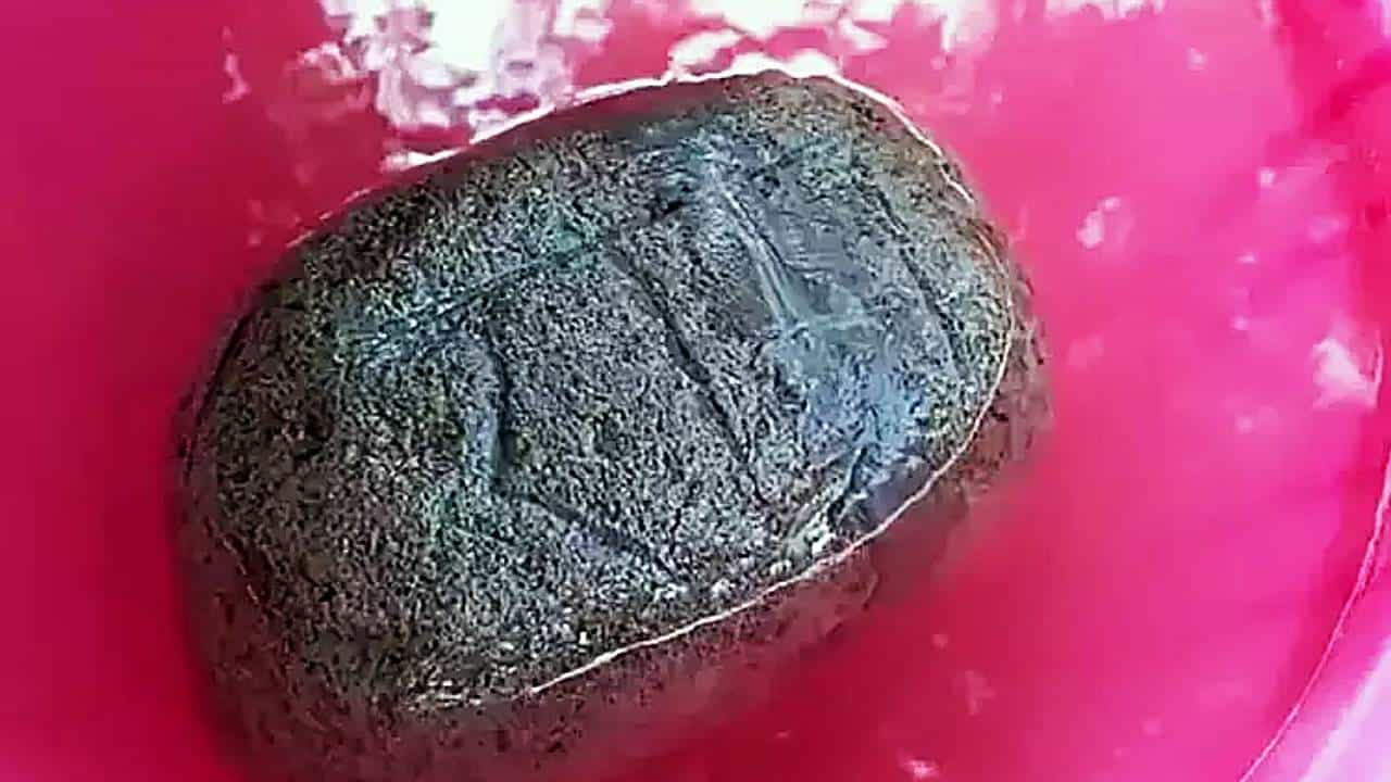 Floating stone Mainpuri: অবাক কাণ্ড! নদীতে ভেসে যাচ্ছে 'রাম নাম লেখা পাথর', গ্রামবাসীদের দাবি 'রামসেতু'র অংশ Floating stone Mainpuri: অবাক কাণ্ড! নদীতে ভেসে যাচ্ছে 'রাম নাম লেখা পাথর', গ্রামবাসীদের দাবি 'রামসেতু'র অংশ