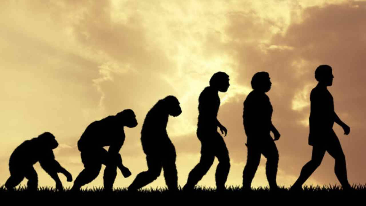 Evolution: এক আবিষ্কারে ১০ লক্ষ বছর পিছিয়ে গেল ইতিহাস! জানেন কবে প্রথম দুই পায়ে হাঁটা শুরু হয়েছিল?