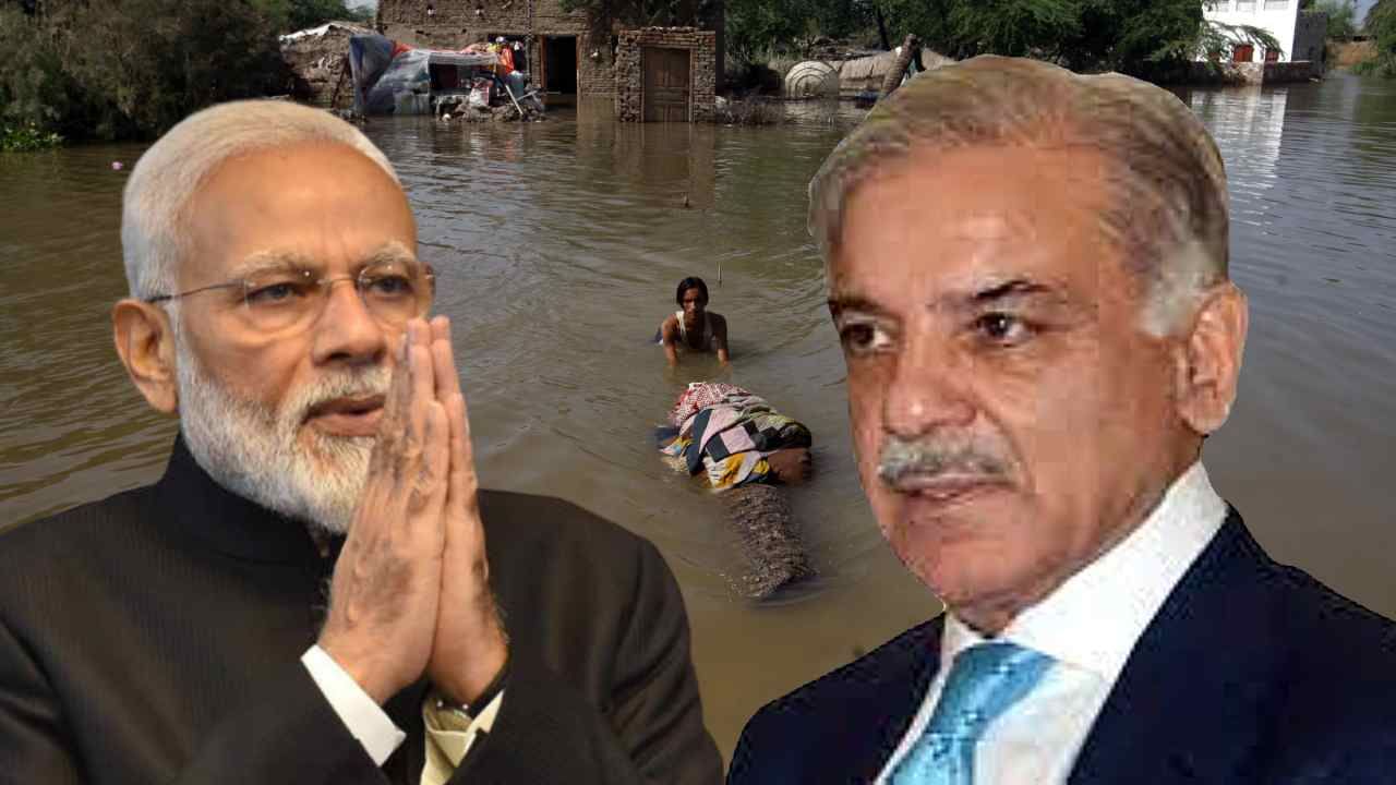 Shehbaz Sharif: 'ধন্যবাদ...', পাকিস্তানের বন্যা নিয়ে প্রধানমন্ত্রী মোদীর টুইটের জবাব দিলেন পাক প্রধানমন্ত্রী