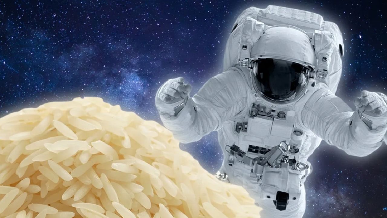 Rice Grown In Space: মহাকাশে ধান চাষে সফল চিন, ভবিষ্যতে স্পেস স্টেশনে থাকতে খাবারের দুশ্চিন্তা শেষ নভোচরদের