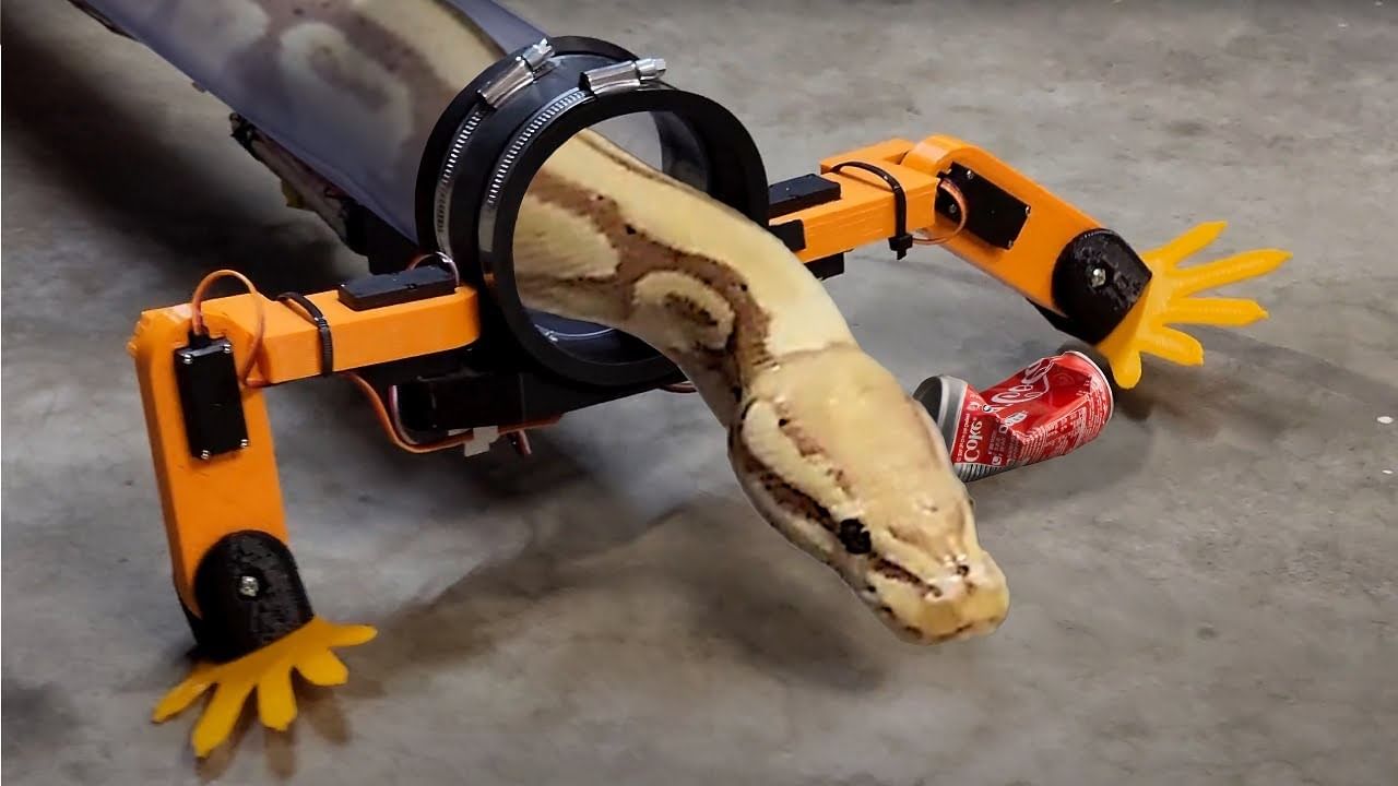 Snake Robotic Legs: হাঁটবে ওরাও! সাপদের জন্য রোবট পা তৈরি করে তাক লাগালেন মার্কিন ইঞ্জিনিয়ার, দেখুন ভিডিয়ো