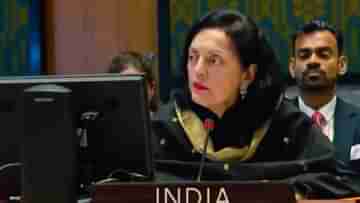 India in UN: জঙ্গি দমনে দ্বিচারিতা কাম্য নয়, রাষ্ট্রপুঞ্জে চিনকে কড়া বার্তা ভারতের