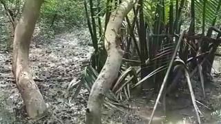 Tornado Strom: ৩০ সেকেন্ডের টর্নেডোয় লণ্ডভণ্ড সন্দেশখালি, ঘর ভাঙল হাজার হাজার মানুষের