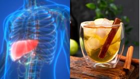 Fatty Liver: ফ্যাটি লিভার ধরা পড়েছে? এই পানীয়তেই ভাল থাকবে আপনার যকৃৎ Fatty Liver: ফ্যাটি লিভার ধরা পড়েছে? এই পানীয়তেই ভাল থাকবে আপনার যকৃৎ