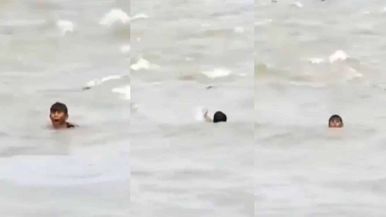 Viral Video: প্রবল স্রোতে ভাসছে কিশোর, চারদিকে ঘিরে রয়েছে কুমির! তারপর কী হল? দেখুন ভাইরাল ভিডিয়োয়