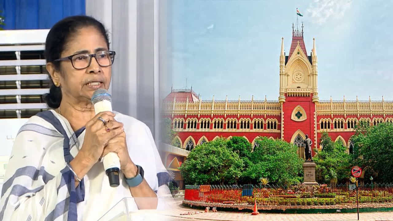 CM Mamata Banerjee: আমিও আইনজীবী, যে কোনও সময় আদালতে যেতে পারি : মমতা CM Mamata Banerjee: আমিও আইনজীবী, যে কোনও সময় আদালতে যেতে পারি : মমতা