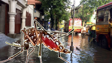Dengue in Kolkata: কলকাতায় ডেঙ্গি আক্রান্ত কিশোরের মৃত্যুতে বাড়ছে উদ্বেগ! প্রকোপ বৃদ্ধির নেপথ্যে কী স্বল্প বৃষ্টি?