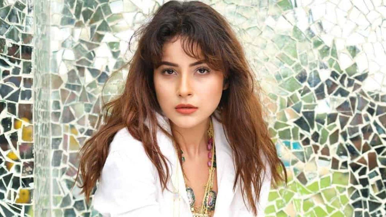 Shehnaaz Gill: কখনও বিয়ে করবেন শেহনাজ গিল? উত্তরে যা বললেন অভিনেত্রী...