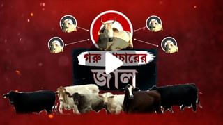 Cow Trafficking: ভারতের গরু বাংলাদেশে, কীভাবে হত পাচার?