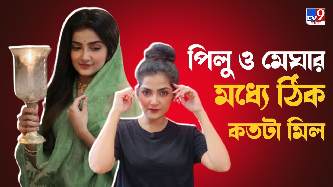 Exclusive Megha Daw: মেঘা থেকে পিলু হয়ে ওঠা, কতটা পাল্টে গিয়েছে ব্যক্তিগত জীবন, জানালেন খোদ অভিনেত্রী