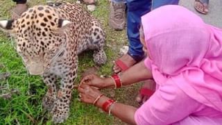 Viral Video: বৃষ্টি থেকে বাঁচাতে পোষ্যের জন্য ছাতা ব্যবহার করছে ছোট্ট মেয়ে, মন ভাল করা ভিডিয়ো