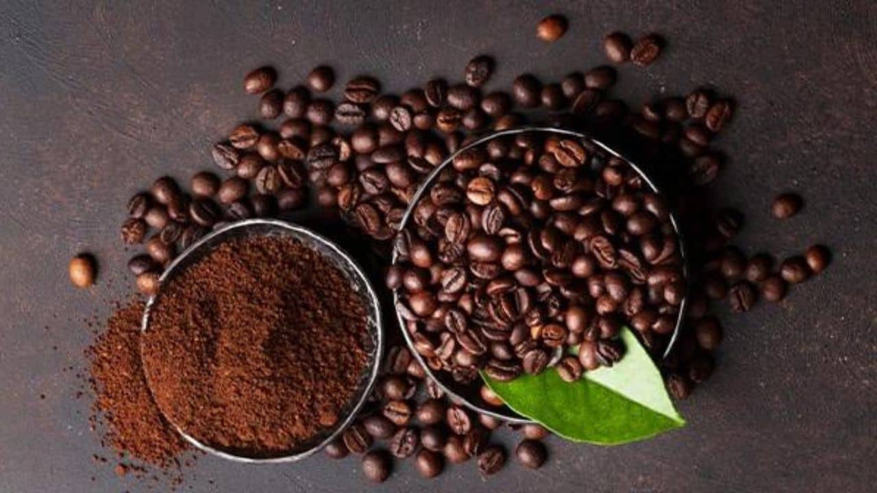 Hair Care Remedies: একঢাল চুলকে রাখুন হাসিখুশি! চুলের যত্নে লাগান কফি হেয়ার মাস্ক