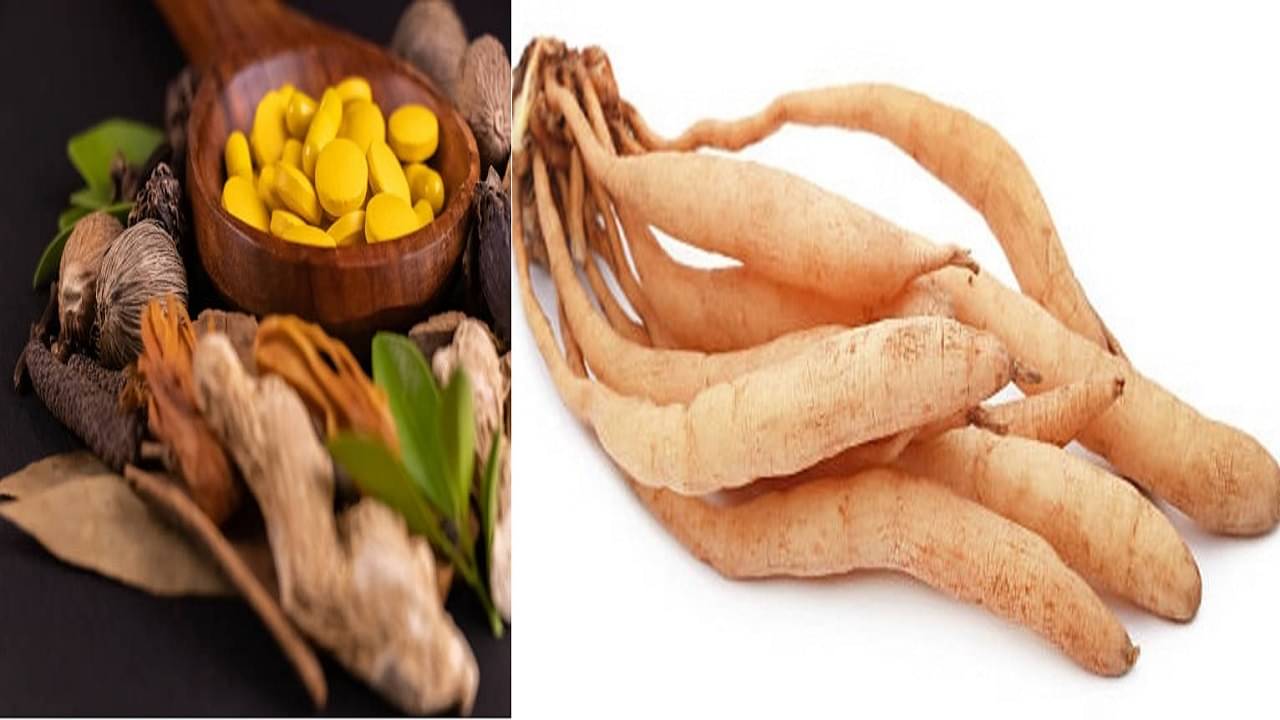 Libido And Fertility In Males: পুরুষদের জন্য এই আয়ুর্বেদিক ভেষজ সাক্ষাৎ শিলাজিত! খেলেই স্ত্রীয়ের মন জয় করবেন সহজেই...