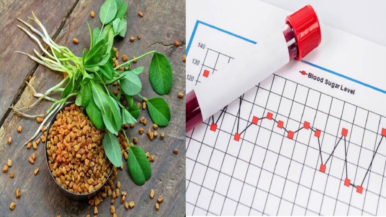 Blood Sugar: ব্লাডসুগার আর কোলেস্টেরল নিয়ন্ত্রণে নেই? মেথিদানা ভিজিয়ে খেলে পাওয়া যাবে হাজারো উপকারিতা!