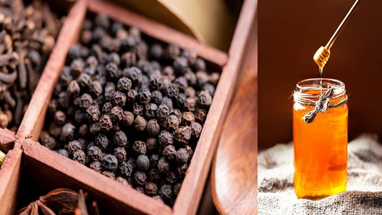 Ayurveda ডায়াবেটিস, কোলেস্টেরলসহ একাধিক রোগের বিনাশ হবে ৫ দিনেই যদি