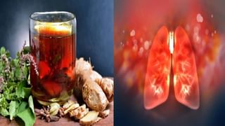 Hibiscus Tea: যৌবন ফেরাতে পারে, লিভার ভাল রাখে জবা চা! একাধিক কঠিন অসুখ সারাতে কীভাবে বানাবেন?