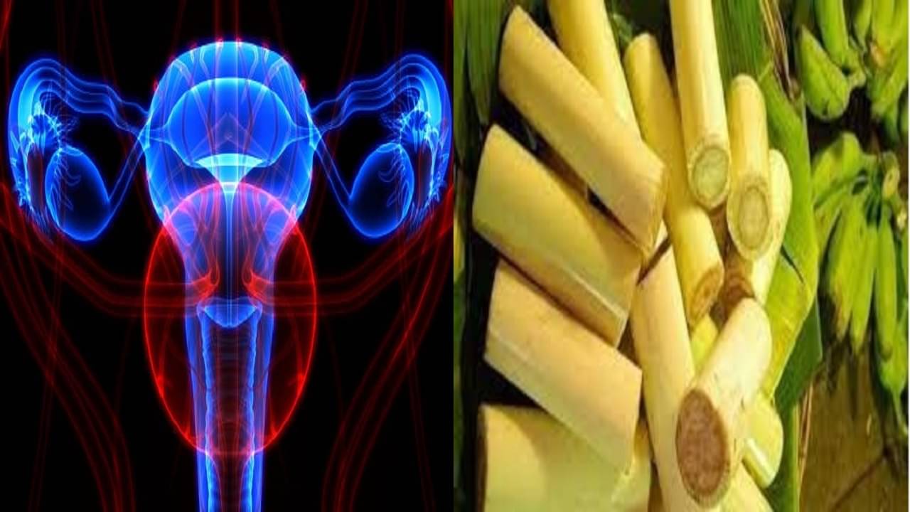 Village Food: কোষ্ঠকাঠিন্য থেকে অ্যানিমিয়া, ম্যাজিকের মত কাজ করবে কলাগাছের এই অংশ!