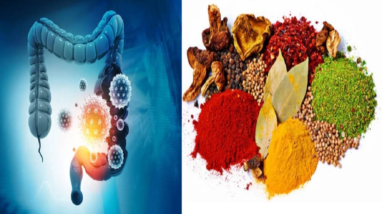 Spicy Food: মশলা মানেই গ্যাস-অম্বল-পেটের সমস্যা নয়, কর্কট রোগের সম্ভাবনা কমাতেও কার্যকরী এই স্পাইসি খাবার