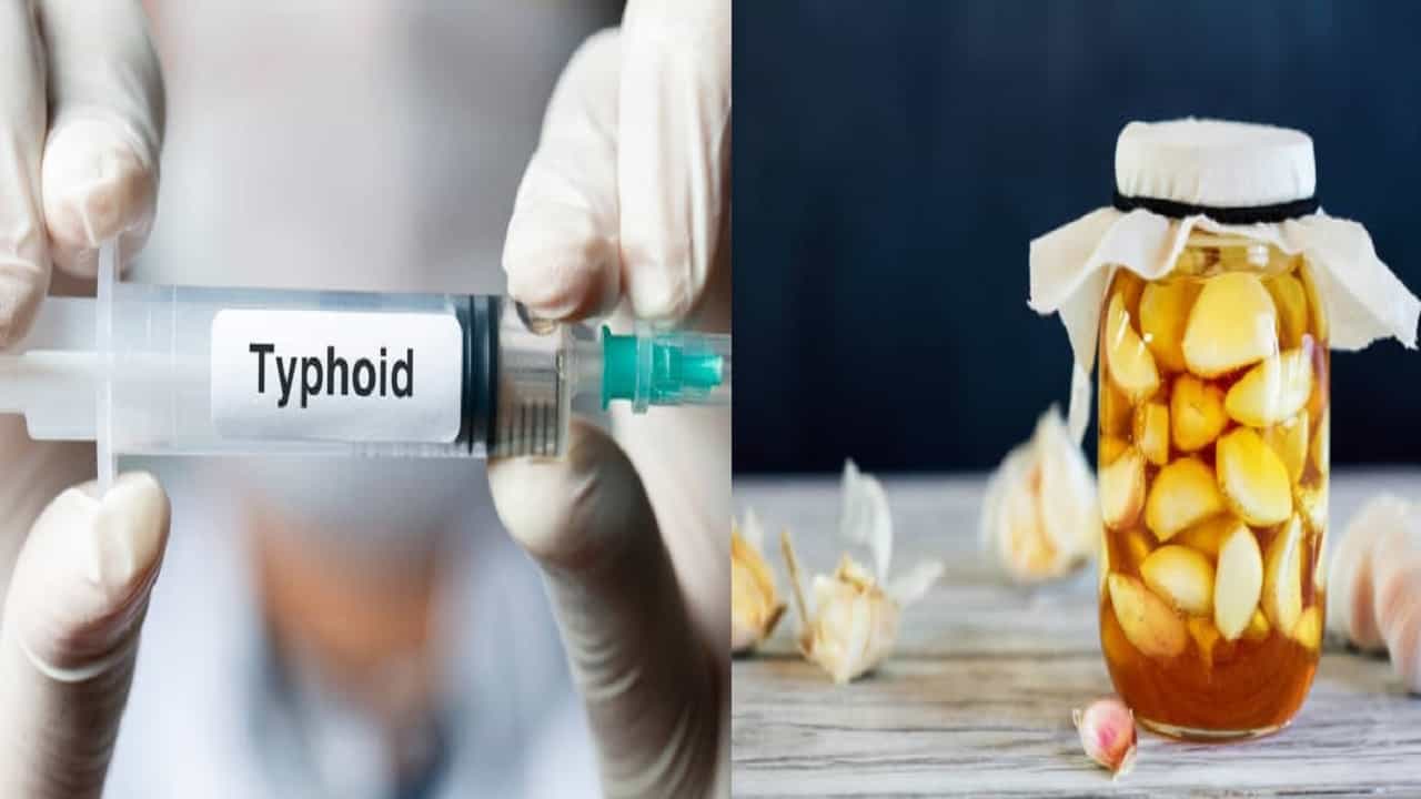 Typhoid fever treatment: ঘরে ঘরে বাড়ছে টাইফয়েড, ডায়ারিয়া-সহ পেটের সমস্যা! এই ৩ ঘরোয়া প্রতিকারেই পাবেন মুক্তি Typhoid fever treatment: ঘরে ঘরে বাড়ছে টাইফয়েড, ডায়ারিয়া-সহ পেটের সমস্যা! এই ৩ ঘরোয়া প্রতিকারেই পাবেন মুক্তি