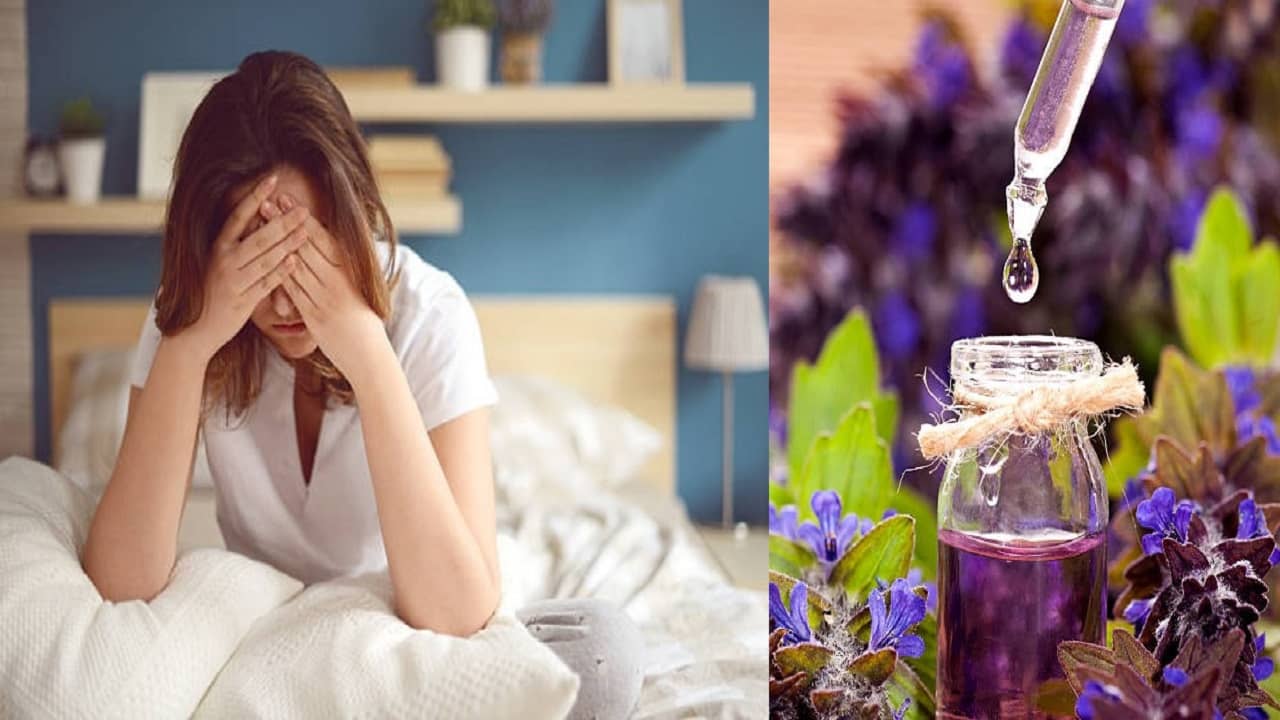 Headache remedies: অসহ্য মাথাব্যথায় পণ্ড কাজকর্ম? এই ৫ প্রাকৃতিক তেলেই লুকিয়ে পেনকিলার