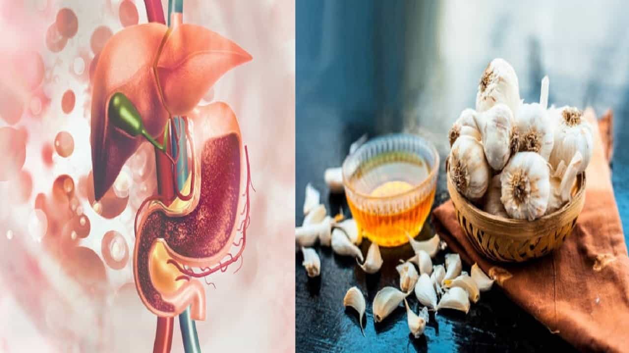 Foods For Healthy Pancreas: ডায়াবেটিসের রোগীরা সাবধান! অগ্ন্যাশয় সুস্থ রাখতে এই কয়েকটি খাবারই মারণাস্ত্র Foods For Healthy Pancreas: ডায়াবেটিসের রোগীরা সাবধান! অগ্ন্যাশয় সুস্থ রাখতে এই কয়েকটি খাবারই মারণাস্ত্র